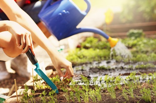 Gardener working on a suburban front garden in Uxbridge