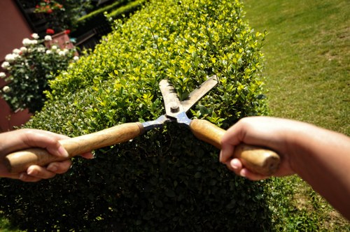 Seasonal lawn care activities in Uxbridge