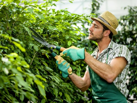 A man in a straw hat, plaid shirt, and green gardening gloves is trimming a dense green hedge in a residential garden located in Uxbridge. The hedge appears well-maintained, with lush foliage and a rounded shape, set against a backdrop of trees and a slightly overcast sky suggesting mild weather. The foreground features a neatly edged lawn with vibrant green grass, while the background includes a paved patio area with a wooden decking section, providing a tidy outdoor space for relaxation. The man is focused on carefully shaping the hedge using hedge shears, demonstrating professional gardening work typical of local landscapers and garden maintenance services, such as those offered by Gardening Services Uxbridge. The garden environment showcases a blend of natural greenery and structured elements, reflecting a professionally landscaped garden in the Uxbridge area, suited to the services displayed on the webpage about gardening and outdoor maintenance in the local postcode.
