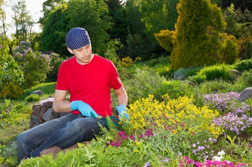 Tree pruning services enhancing property landscape