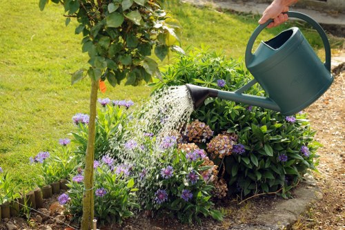 Technician trimming hedges in a residential Uxbridge garden