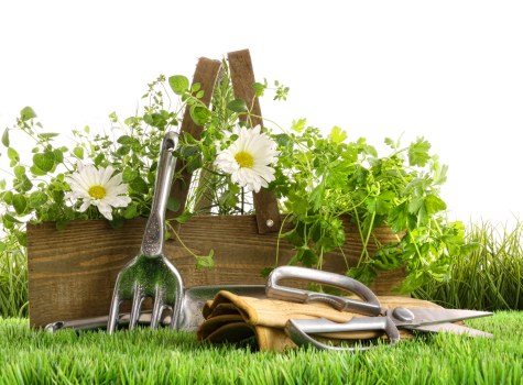 The image depicts a neatly arranged small garden plot with a raised wooden flower bed filled with green, leafy plants and white daisy-like flowers in the foreground. Surrounding the bed is bright, well-maintained green grass, suggesting regular lawn care. Resting on the grass are various gardening tools, including a hand fork, a pair of gloves, a trowel, and pruning shears, indicating recent or ongoing garden maintenance. Behind the flower bed, there's a backdrop of taller grass or possibly a hedge, providing a natural boundary for the garden space. The scene is outdoors, under natural light, with a clear or partly cloudy sky, typical of mild weather conditions. The overall setting reflects a well-kept, landscaped outdoor area suitable for gardening services in Uxbridge, highlighting elements such as lawn, garden beds, and plant maintenance within a medium-sized, suburban garden environment.