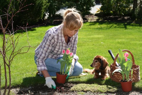 Garden design plans and tools