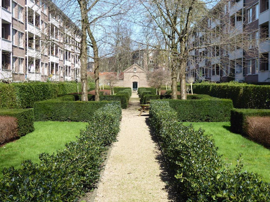 A small, well-maintained urban garden featuring a large deciduous tree with branches extending outward, shedding a dense layer of yellow, orange, and brown fallen leaves across the grassy ground. Surr